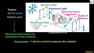 Optical Rotation of Polarized Light