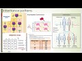 Genetics Concepts and Inheritance Patterns