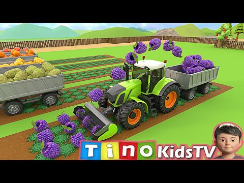 Tractor for Kids Harvesting Fruits and Vegetables   |  Farm Trucks Uses for Children