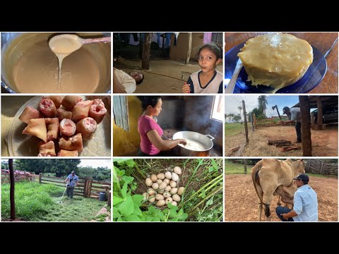 LIMPEZA EM VOLTA DA CASA| PREPARANDO GELÉIA DE PORCO🐷| ACHAMOS UMA NINHADA DE OVOS|Dia a Dia na roça