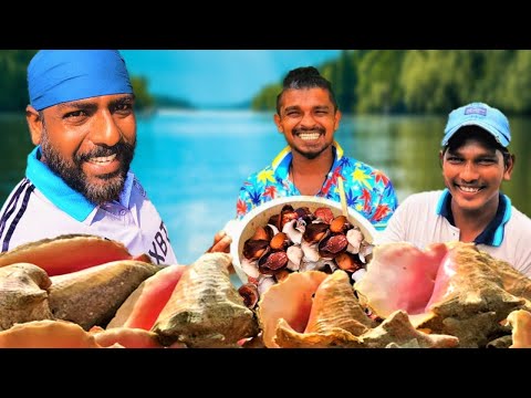 පුරි පුරි ගාලා හැපෙන සංගු | Conch Cooking & Eating | Sea Snail Cooking |   @wishwatiyubaya 🐚😲🙏