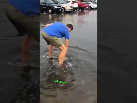 Unbelievable! This superhero did something incredible after the rain! ⚡#tedrush