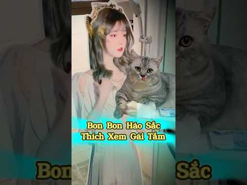 😬🐱Nghi Ngờ Bon Bon Do Đàn Ông Háo Sắc Chuyển Kiếp⁉️ #Mèoúớ #thúcưng #vậtnuôi