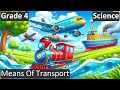 Modes of Transport and Their Functions