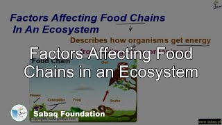 Factors Affecting Food Chains in an Ecosystem