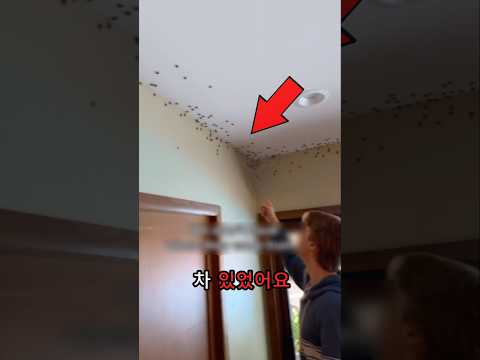 휴가에서 돌아와서 이걸 봤어요! 😱