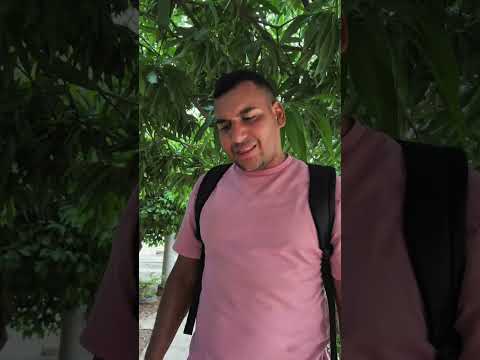Mi Hijo Quiere Seguir los Pasos de su Tío