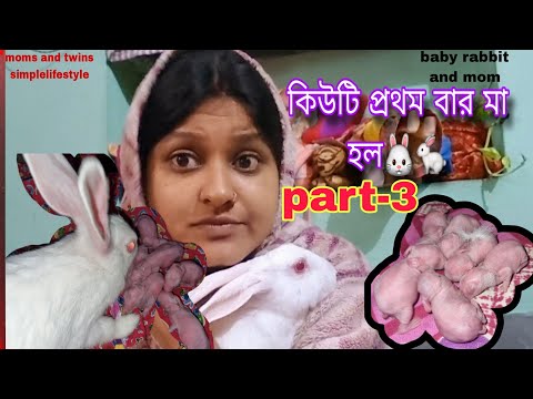 কিউটি প্রথম বার মা হল part-3🐰🐇new born baby rabbit mom🐇🐰 #rabbit #bunny #bengaliblog