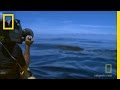 Approaching Whales with Kayaks