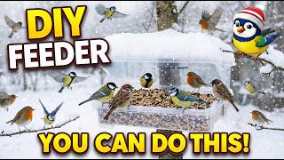 Birds Came Instantly 🐦 Simple DIY Winter Bird Feeder