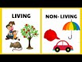 Exploring Living and Nonliving Things