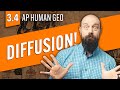 Understanding Diffusion and Its Types
