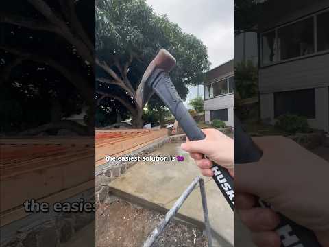 I wasted $74,000 on a Tree