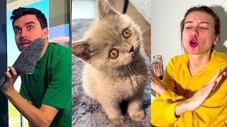 FUNNY CATS by COSEFNASTYA 😂😂