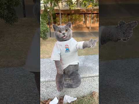 Don't Throw It!✋ It's A Surprise Snack For The Squirrel!🐿️🌰 #catvideos #catmemes #trending
