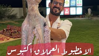 20 أغسطس، 2024
