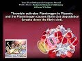 Coagulation Disorders and Mechanisms