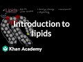 Understanding Lipids