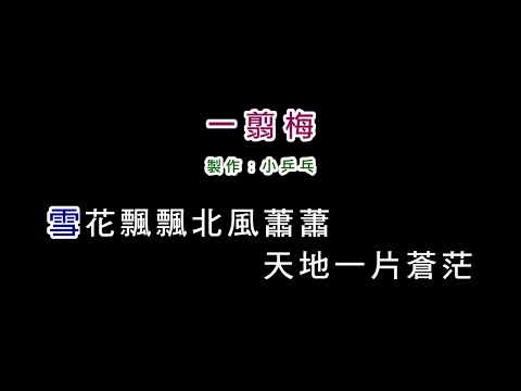 (更新 演唱版)費玉清-一翦梅(DIY卡拉OK字幕)