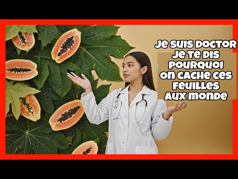 Pourquoi les médecins cachent le secret des feuilles de papaye !