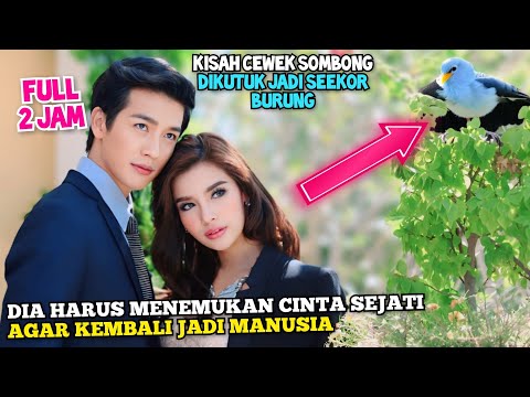 Gadis Sombong Ini Dikutuk Jadi Burung dan Harus Menemukan Cinta Sejatinya...