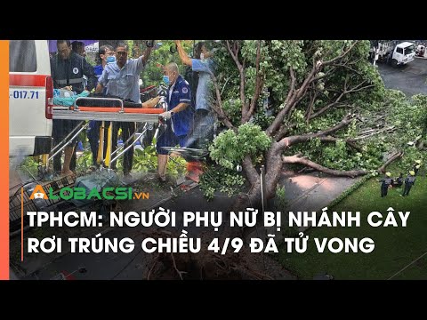 TPHCM: Người phụ nữ bị nhánh cây rơi trúng chiều 4/9 đã tử vong | Video Alobacsi