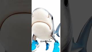 Tralalero Talks Trash