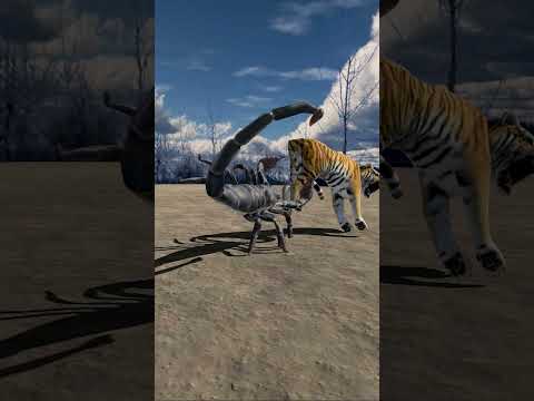 Fearless Fighters Emperor Scorpion vs Mighty Tigers