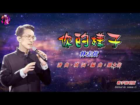 你的樣子〈華語〉林誌炫〈歌手演唱版〉