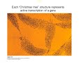RNA Structure and Function Concepts