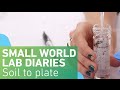 Laboratory Techniques in Microbiology