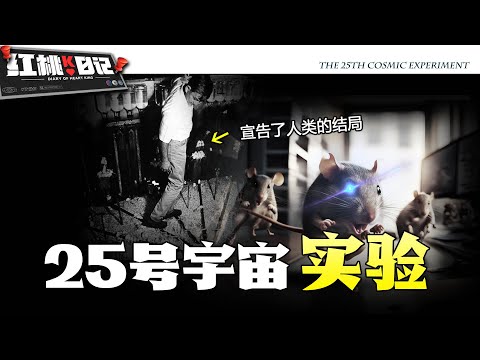 細思極恐的人類結局！天堂終將淪為地獄？人類很可能正在一片安靜祥和中走向滅亡……【紅桃K日記】