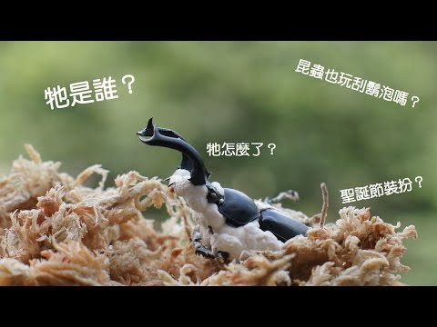 想了解昆蟲嗎？｜蟲零開始 認識蟲蟲 - YouTube(10:46)