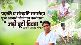 प्रकृति व संस्कृति समारोह " जड़ी बूटी दिवस ", पतंजलि योगपीठ, हरिद्वार || Acharya Balkrishna