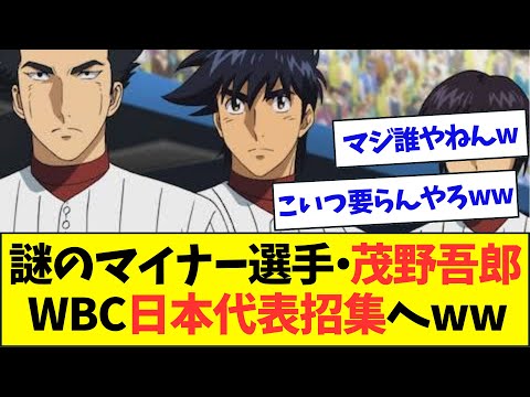 【悲報】WBC日本代表に無名マイナーリーガーがコネ選出か・・・【なんJなんG反応】【2ch5ch】