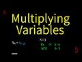 Understanding Variables and Multiplication