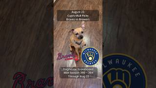 Cujo’s MLB Picks | Atlanta Braves vs Milwaukee Brewers ⚾ 08-23-2026 #CujoCatches