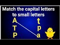 Matching Capital and Small Letters