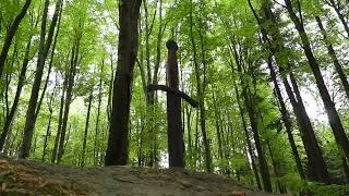 VĚTRNÝ JENÍKOV: Excalibur