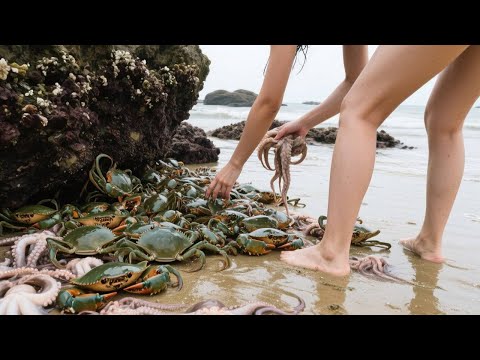 小章赶海捅到八爪鱼窝，不料礁石下竟还藏巨型面包蟹，抓起来太过瘾惊呼发财【赶海小章官方频道】