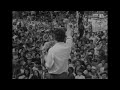 Características e Mensagens sobre Grândola