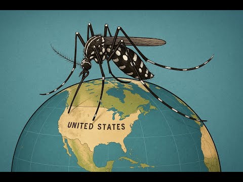 Dengue nos EUA - Aula de Inglês - Inglês Intermediário