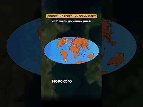 Невидимая граница - Линия Уоллеса