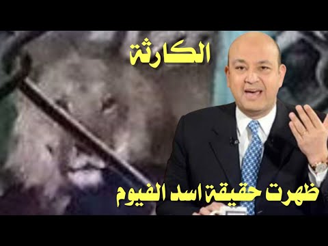 عاجل ظهرت الحقيقة سبب الى عملة الاسد مع سعيد جابر حارس الاسد حديقة حيوان الفيوم فيديو واضح شوفوا دا