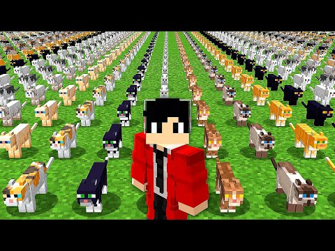 DOMEI 101 GATOS NO MINECRAFT