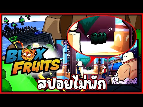 (สปอยไม่พัก) กลุ่มคนลึกลับ แห่งโลกใต้ทะเล - 🌊Blox Fruit