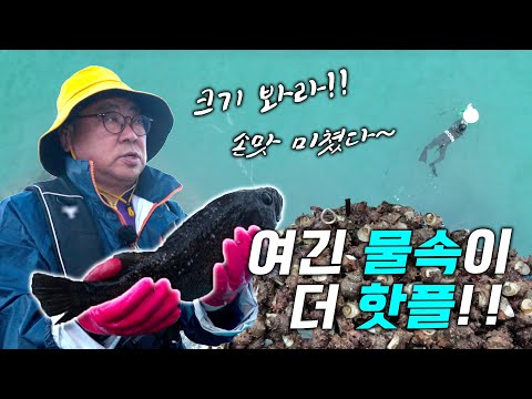 밤엔 볼락, 낮엔 농어!! 무슨 바다야? 해녀는 줄었는데 해산물은 폭발 중!