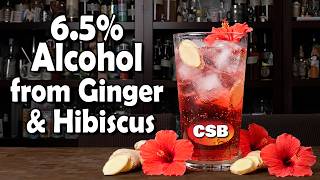 Ginger, Hibiscus and 6.5% Alcohol! Easy Hard Seltzer