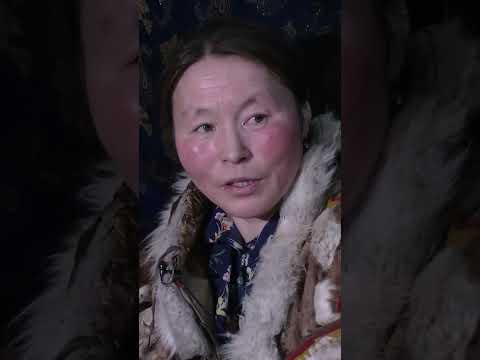 🤔 Жизнь и быт кочевников Крайнего Севера. Ямал #янао #рекомендации #крайнийсевер
