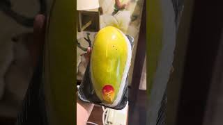 China’s most expensive Mango 🥭 #chinatravel  #travel #mangoes